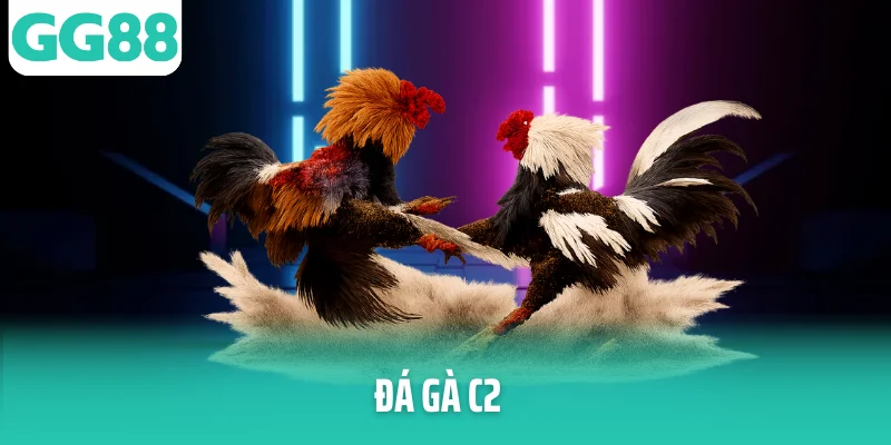 Ảnh đại diện đá gà c2